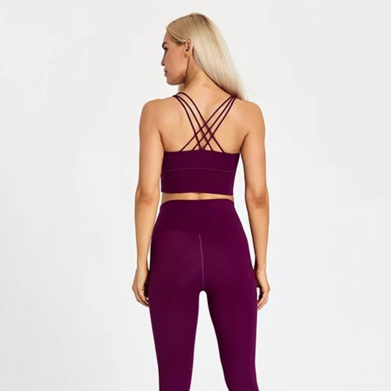Performance Sports Bra - Wine